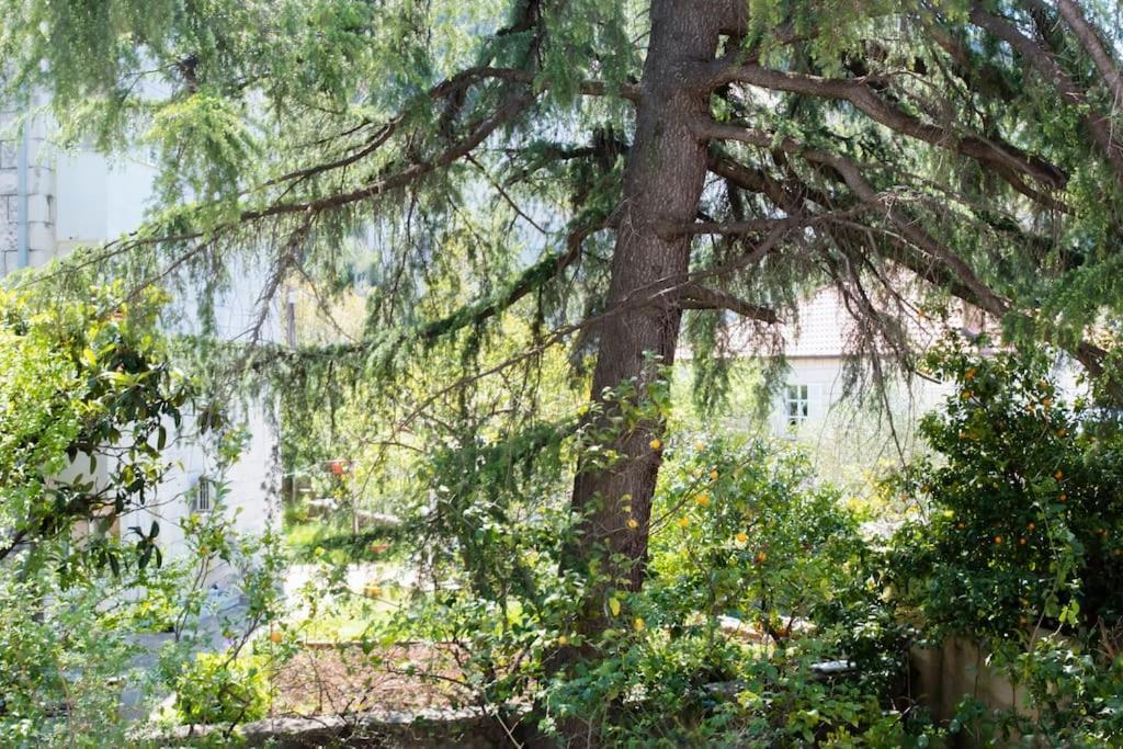 Apartament Lapad Cove Dubrownik Zewnętrze zdjęcie